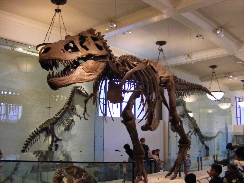 07 museus esqueletos dinossauros museu de historia natural - dicas de viagem nova york NY