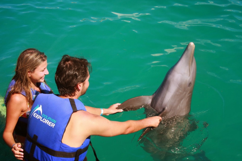 18 DOLPHIN EXPLORER - interação e nado com golfinhos - punta cana dicas de viagem republica dominicana caribe bavaro