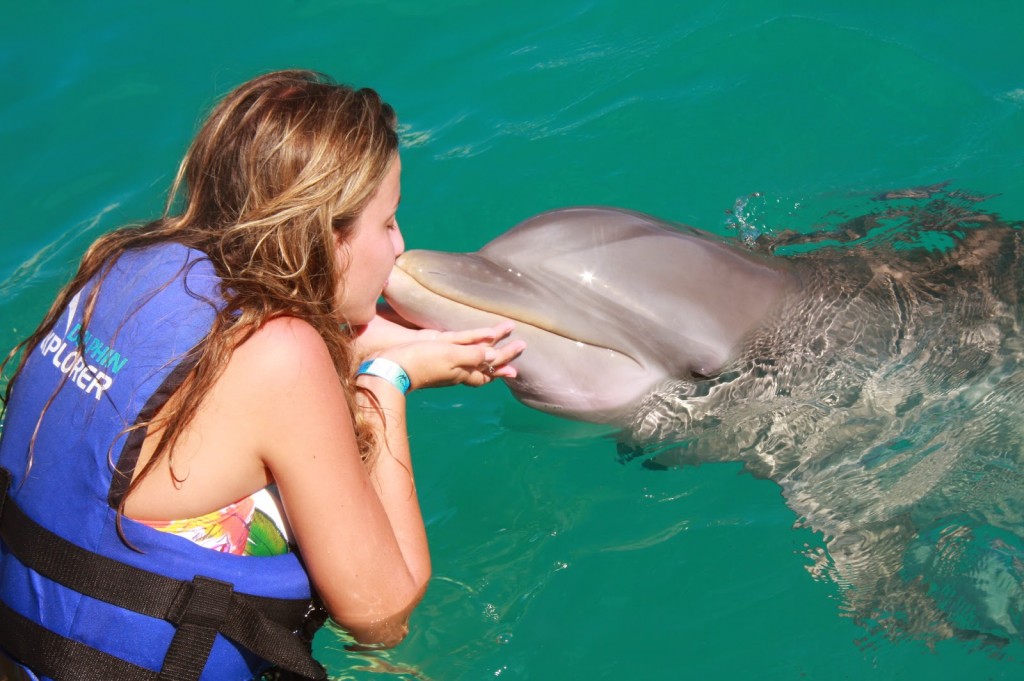 19 DOLPHIN EXPLORER - interação e nado com golfinhos - punta cana dicas de viagem republica dominicana caribe bavaro