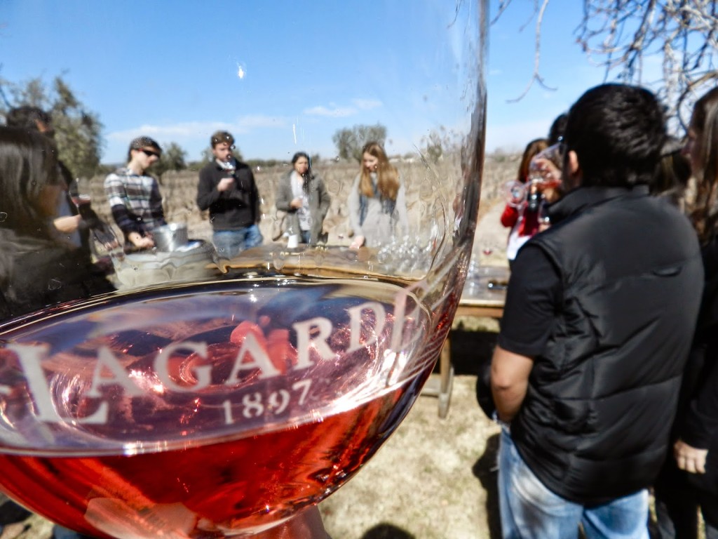 LAGARDE 02 bodega vinícola winery tour vinho mendoza argentina dicas viagem
