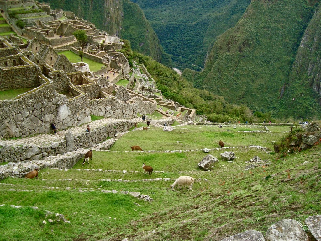 dicas Machu Picchu