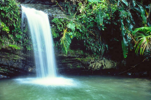 El Yunque Rainforest | foto: yukiyuresort.com