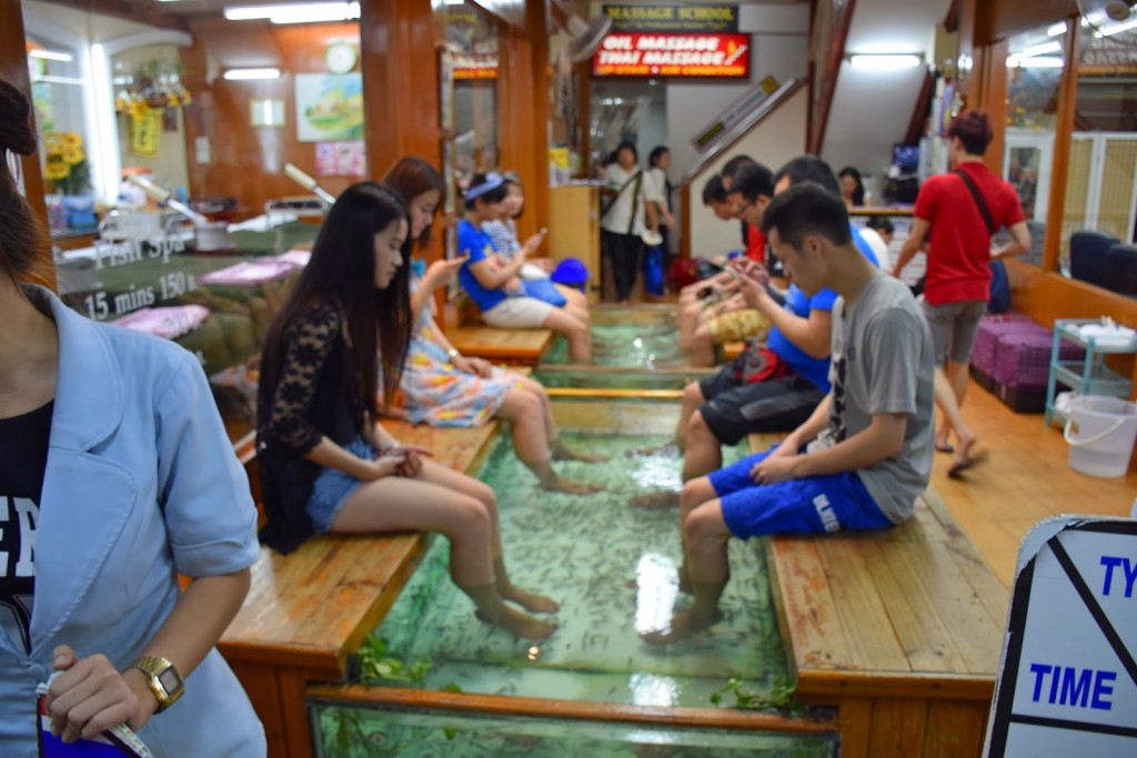 30 Khao San Road Bangkok - rua que nunca dorme - dicas de viagem Tailandia - fish massage - pedicure com peixe