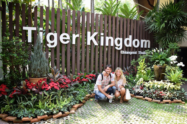 07 tiger kingdom chiang mai tailandia