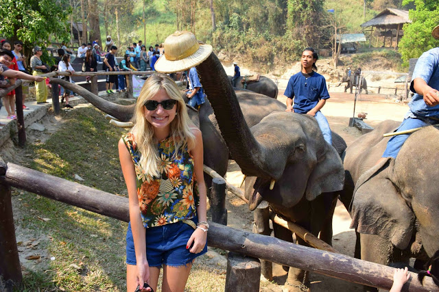 37 maesa elephant camp passeio de elefante chiang mai tailandia