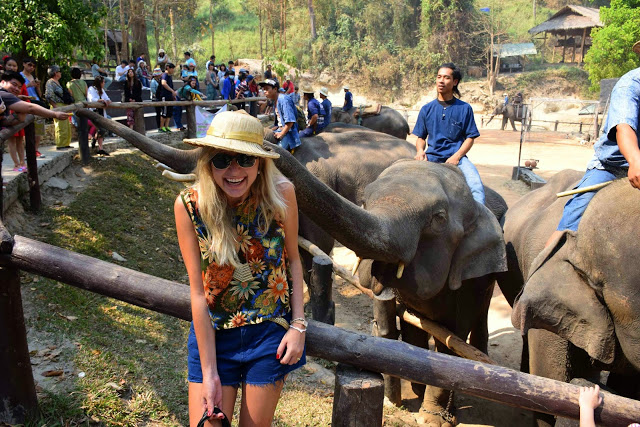 38 maesa elephant camp passeio de elefante chiang mai tailandia