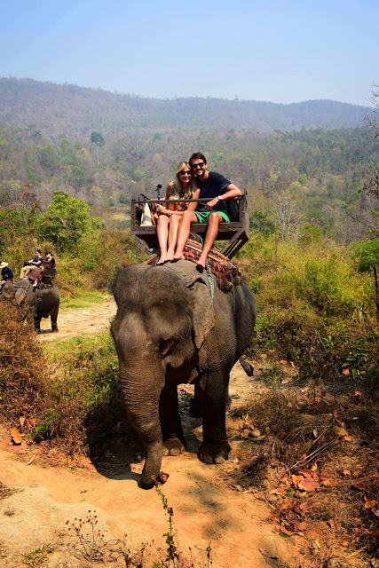 41 maesa elephant camp passeio de elefante chiang mai tailandia