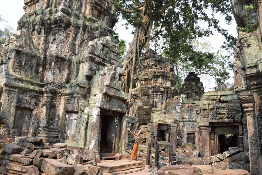 dicas viagem camboja - Ta Prohm temple cambodia lara croft tomb raider