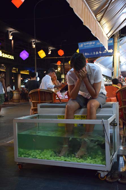spa pura vida siem reap pub street fish massage