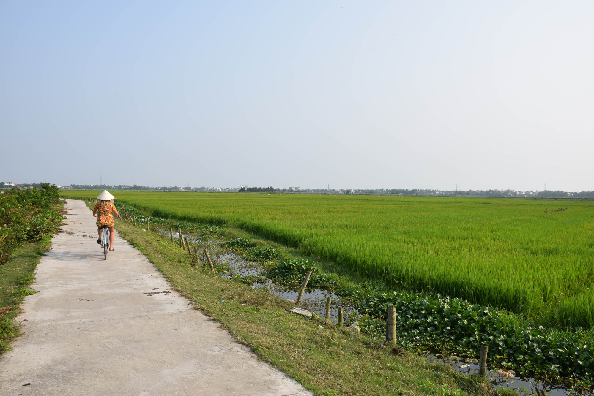 Pelas plantações de arroz no caminho entre Hoi An e a praia