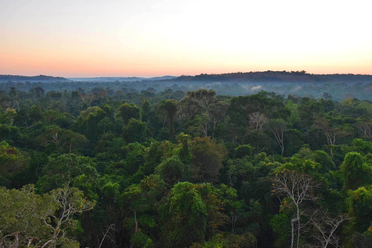 O amanhecer e os "rios voadores" da Amazônia - Torre 1 do Cristalino Lodge