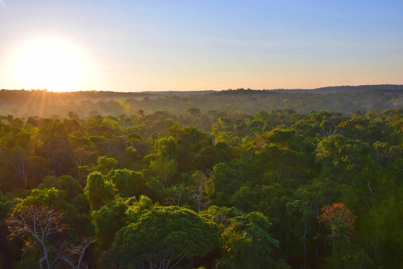 Sol nascendo na Floresta Amazônica - Torre 1 - Cristalino Lodge