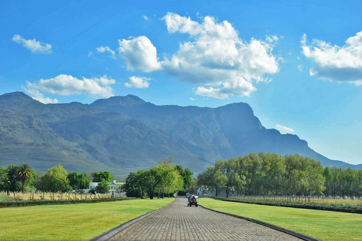 Vinícola La Motte - Franschhoek - África do Sul | Créditos: Lala Rebelo