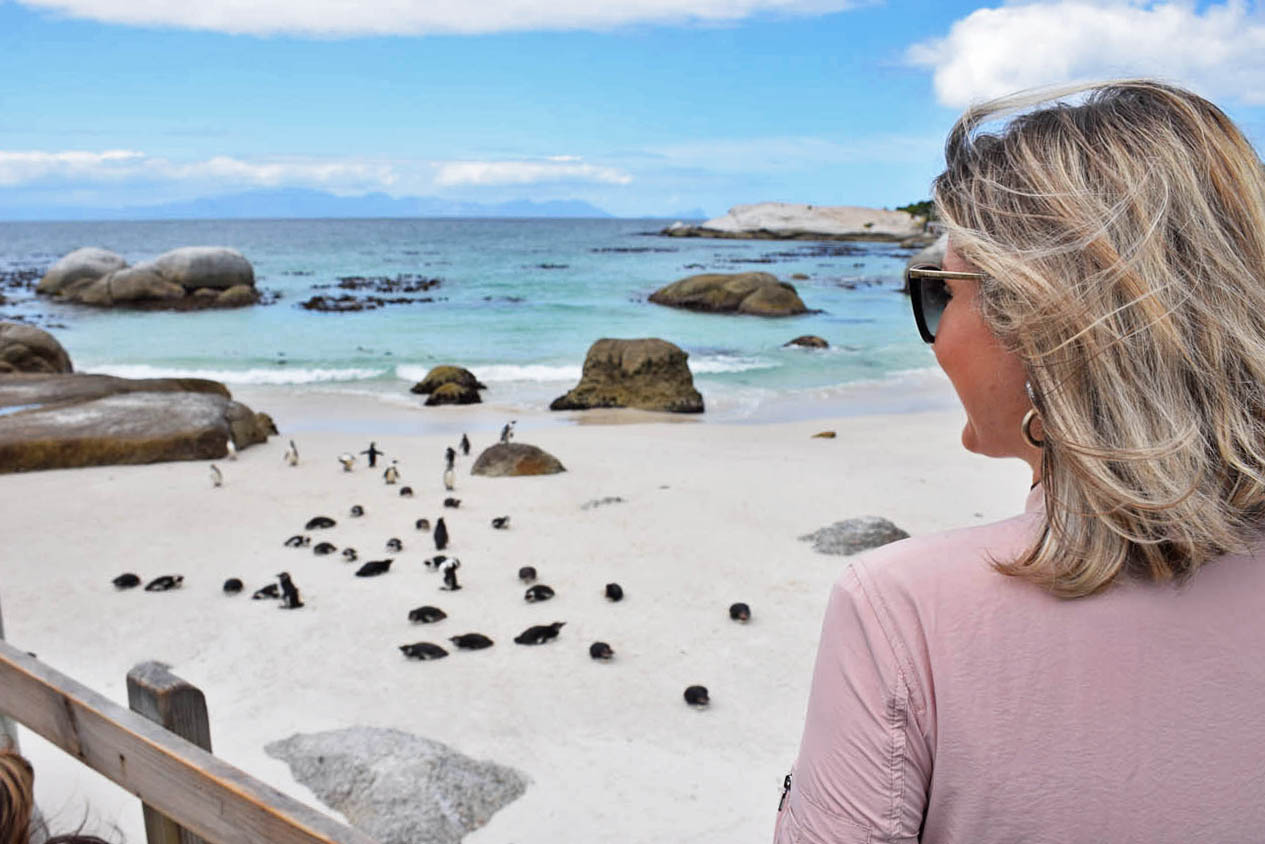 Boulders Beach e seus pinguins | Simon's Town - África do Sul