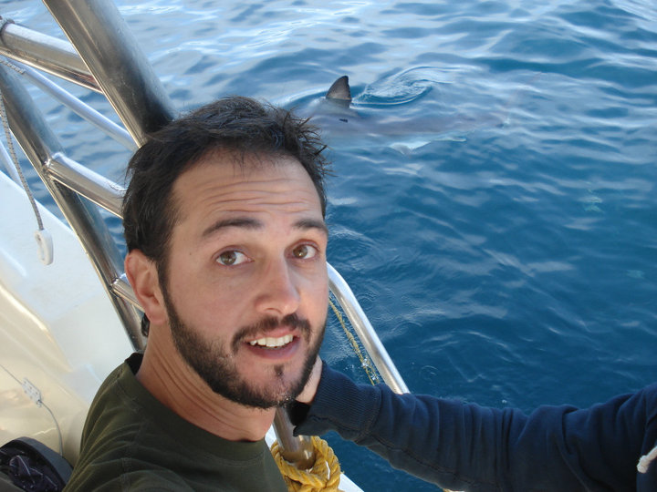 Meu marido quando mergulhou com tubarão branco em 2010. Medo!!!!