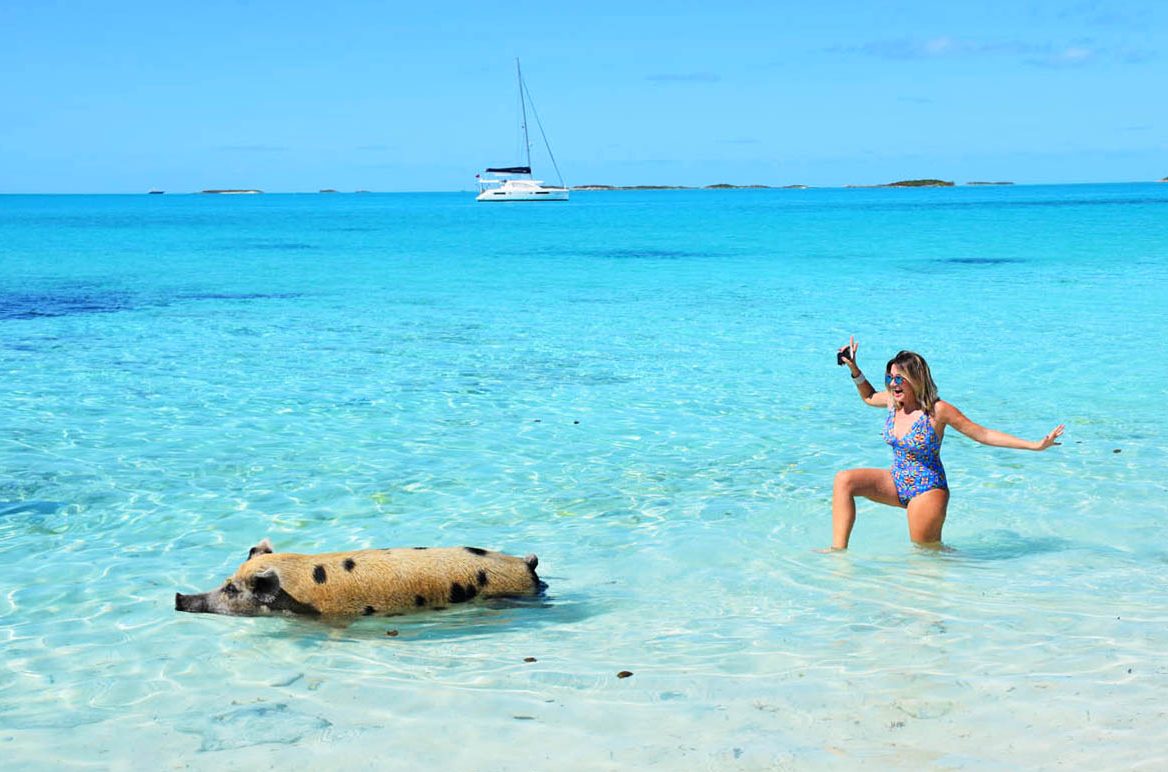 Pig Beach em Exuma, Bahamas - porquinhos nadadores | foto: Lala Rebelo