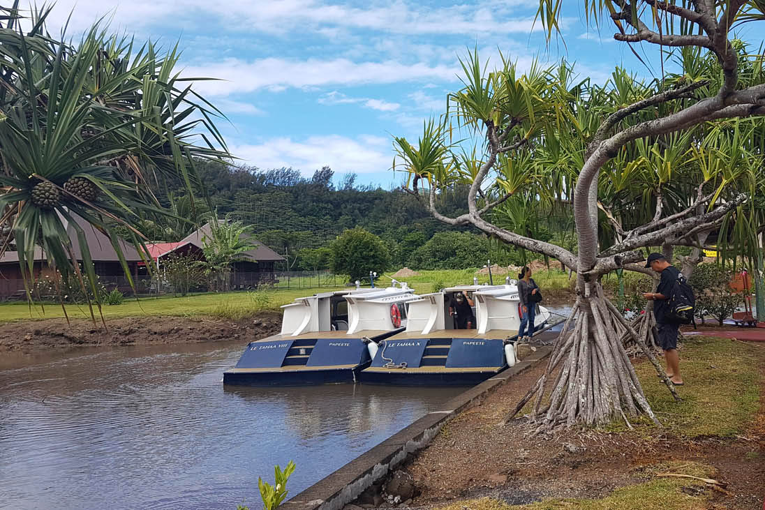 Os barcos que levam os hóspedes do aeroporto de Raiatea até o hotel no motu de Taha'a | foto: Lala Rebelo