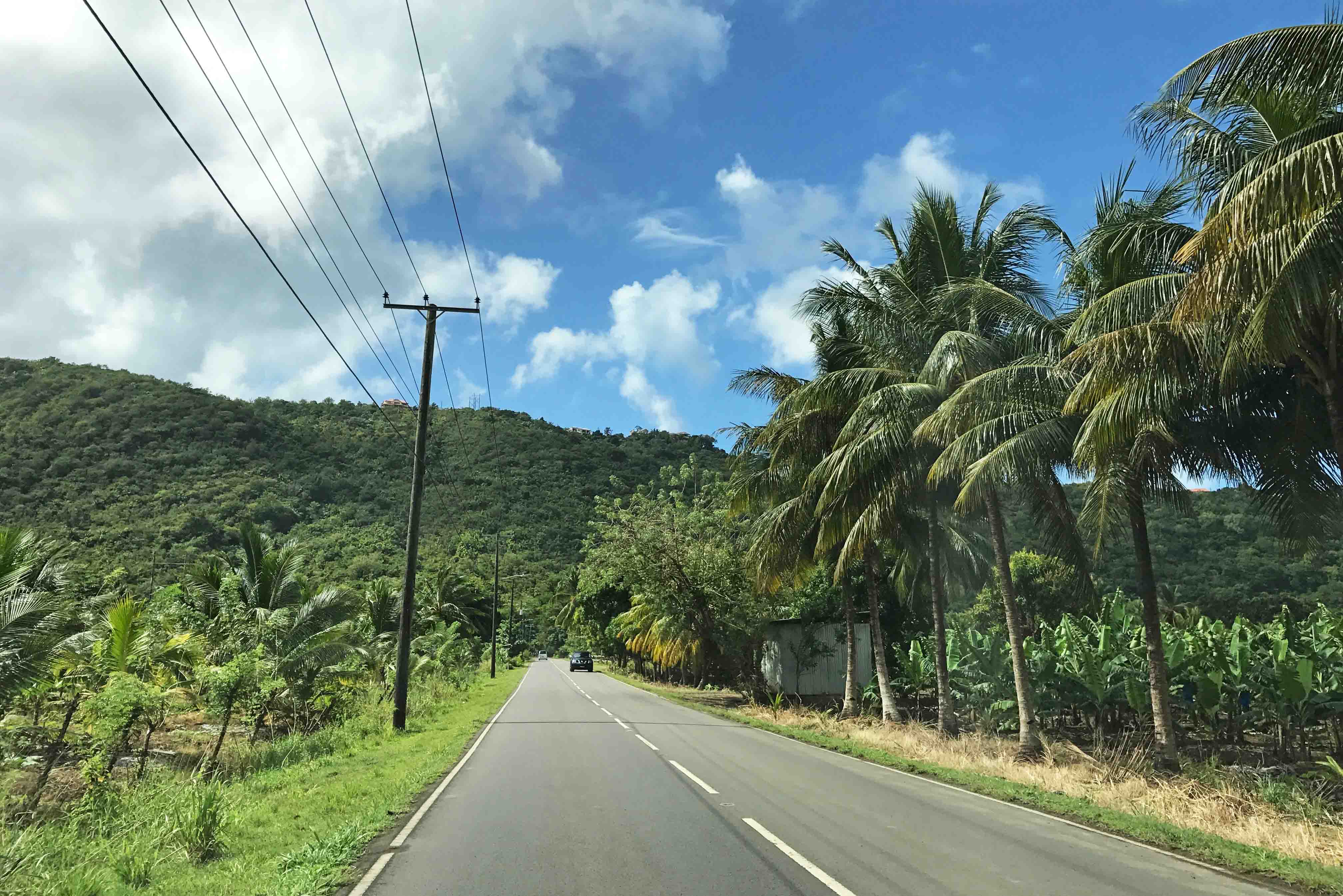 Estradas de St Lucia: algumas são assim...