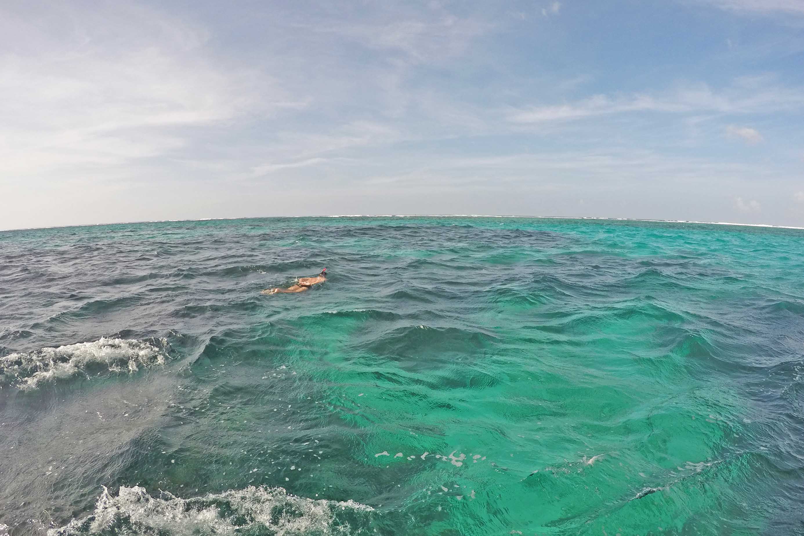 buccoo reef tobago snorkel