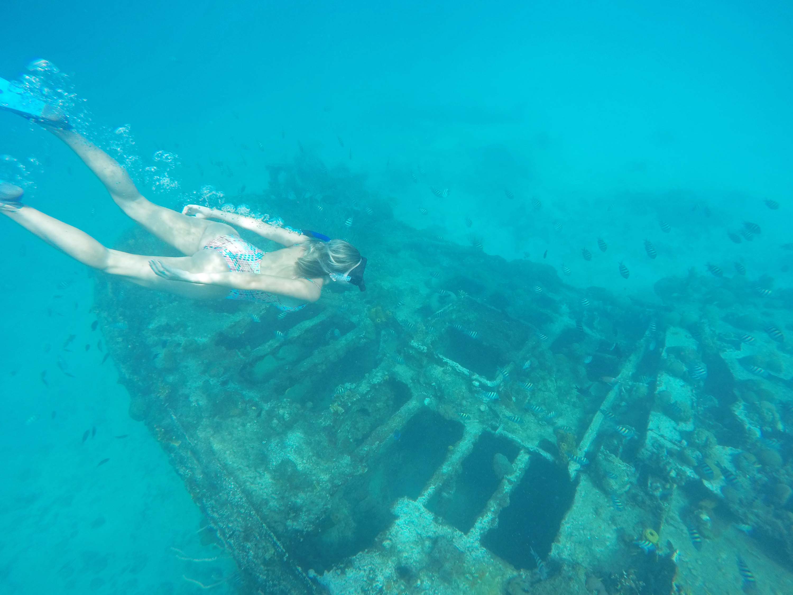 barbados blue - snorkel shipwreck