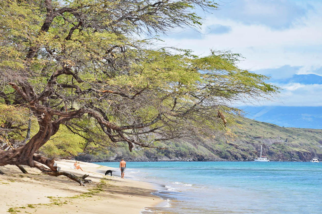 as praias mais bonitas de maui - Ukumehame Beach - Havaí